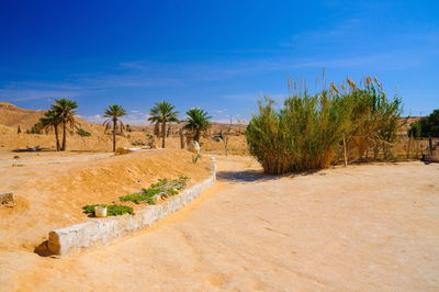 Panoramic view of trees and road against sky