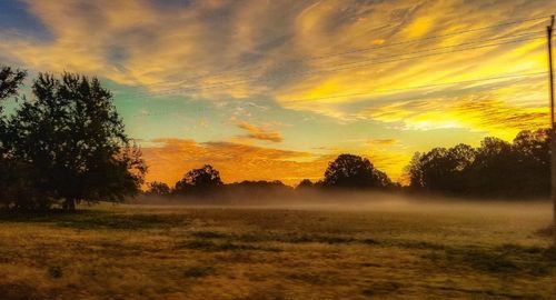 Scenic view of field against sky during sunset