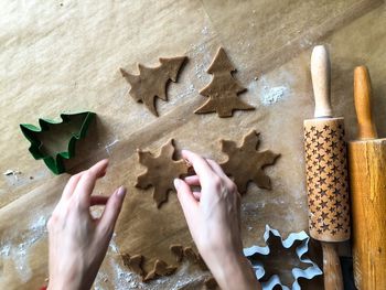 High angle view of hand feeding cookies