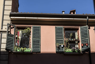 Low angle view of potted plants on balcony of building