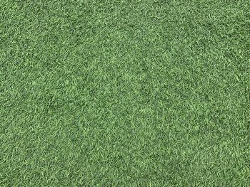 Full frame shot of soccer field