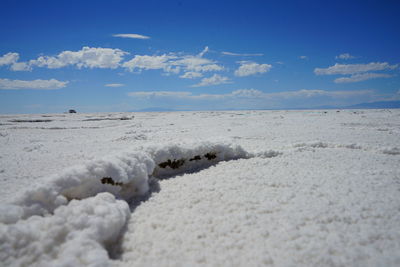 Close-up of snow on beach against sky