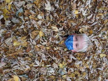 School age boy lying in autumn leaf pile, wearing a cloth face mask