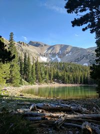 Scenic view of lake in forest against sky