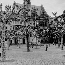 Trees and buildings in city