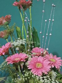 Close-up of pink flowers blooming outdoors