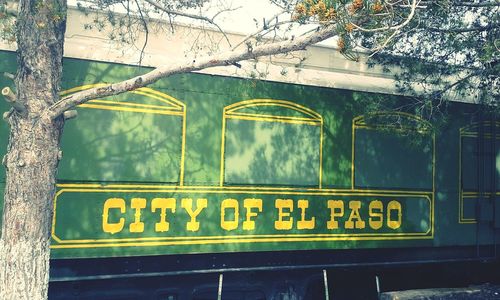 Information sign on tree trunk