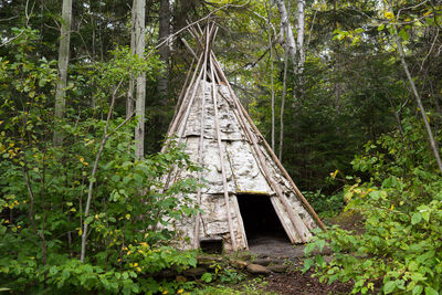 Low angle view of wooden structure amidst trees in forest