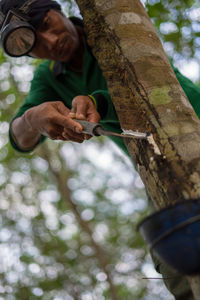 Low angle view of man removing rubber from tree trunk