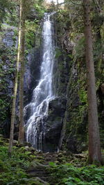 View of waterfall in forest