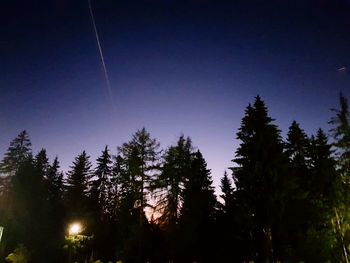 Low angle view of silhouette trees against sky at night