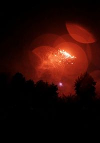 Low angle view of silhouette trees against sky at night