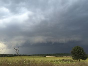 Scenic view of field against cloudy sky
