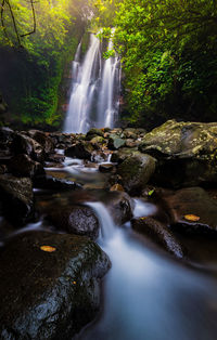 View of waterfall in forest