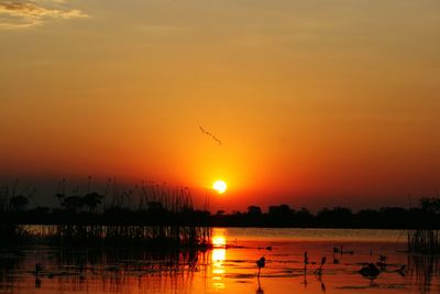 Scenic view of sunset