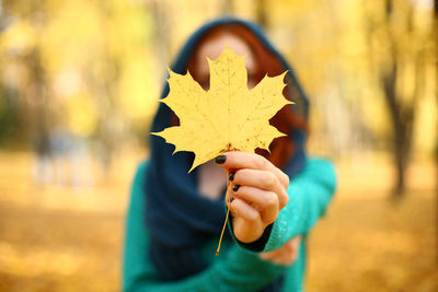 Close-up of hand holding maple leaves