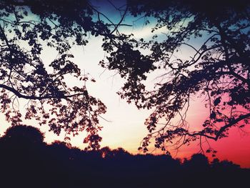 Silhouette of trees against sky at sunset