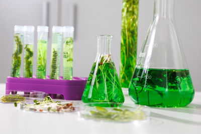 Close-up of glass bottles