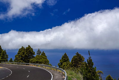 Panoramic view of trees against sky