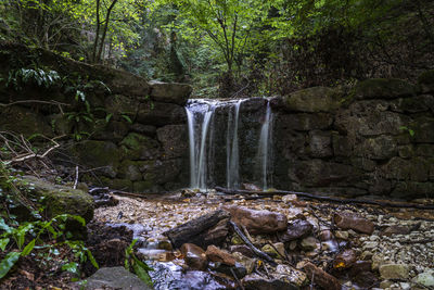 Scenic view of waterfall in forest