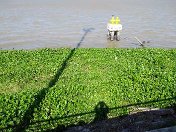 High angle view of people standing on shore