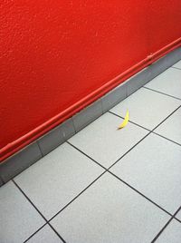 High angle view of bird on tiled floor