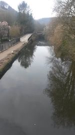 Reflection of trees in river