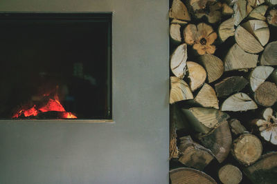 Close-up of logs