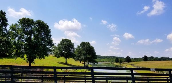 Trees on field against sky