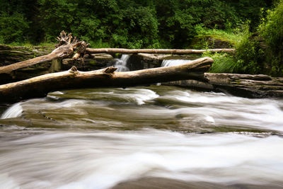 Scenic view of waterfall