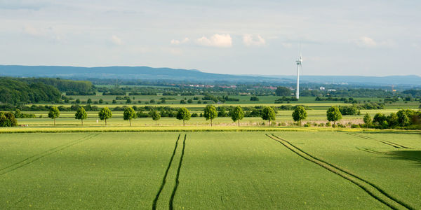 Scenic view of rural landscape