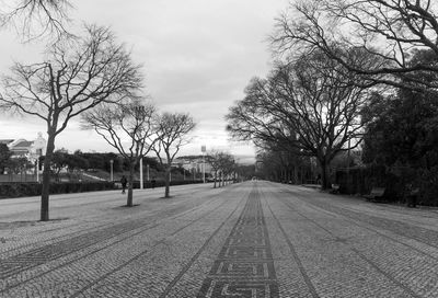 Empty street amidst bare trees against sky