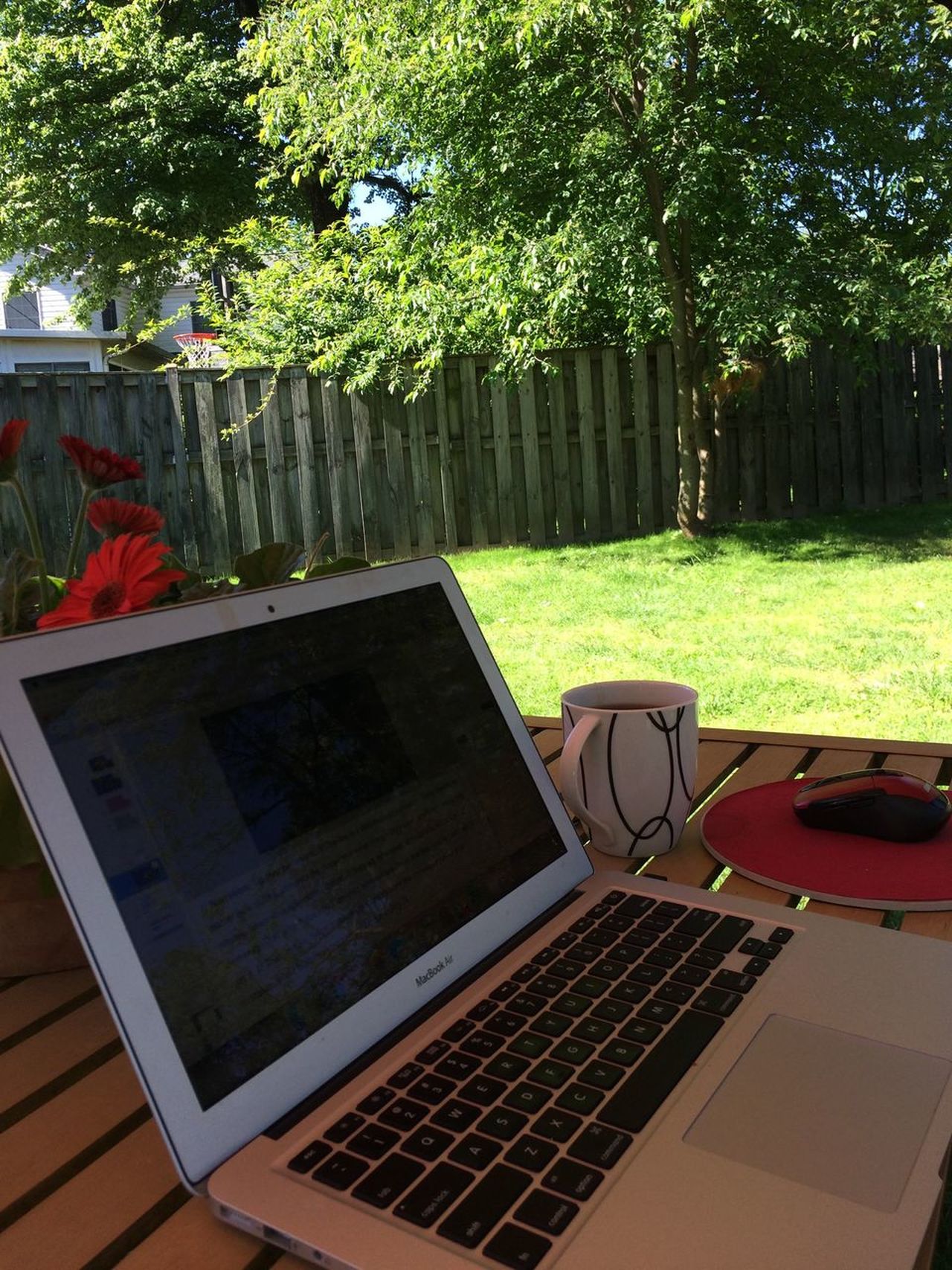 Backyard office