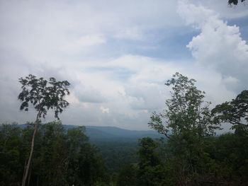 Scenic view of trees and mountains against sky