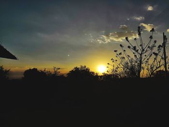 Silhouette trees against sky during sunset