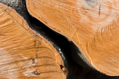 Full frame shot of tree stump