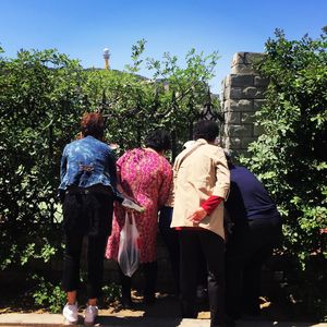 Rear view of friends against trees