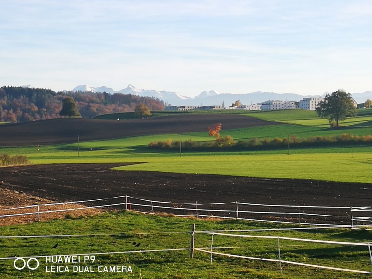 VIEW OF FIELD AGAINST SKY