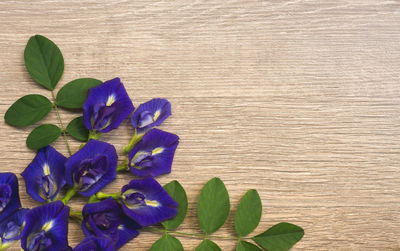 Close-up of purple flowering plant leaves on wood