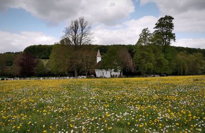 Scenic view of field by trees against sky