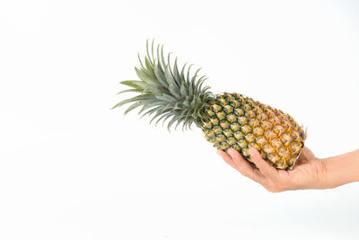 Close-up of hand holding fruit against white background