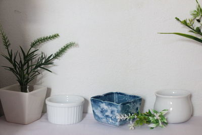 Close-up of potted plants on table at home