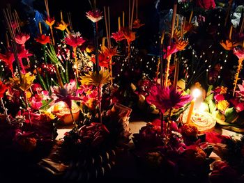 Illuminated flowers at night