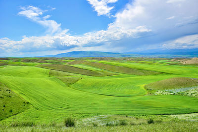 Qiongkushtai is a small kazakh village located in the isolated valley of the tianshan mountains.