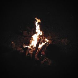 Bonfire at night