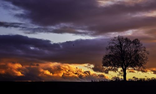 Silhouette of trees against cloudy sky