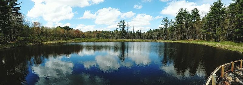 Panoramic view of lake in forest against sky