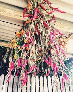 Low angle view of multi colored wooden hanging outdoors