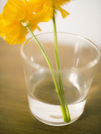 Close-up of drink in glass