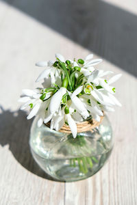 Close-up of white flowers in vase on table